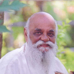 Dr N S Ramaswamy (Former Director IIM, Bangalore)
